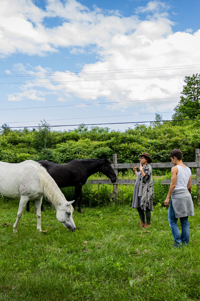 Les retraites du Pétrichor - Ateliers de ressourcement avec les chevaux